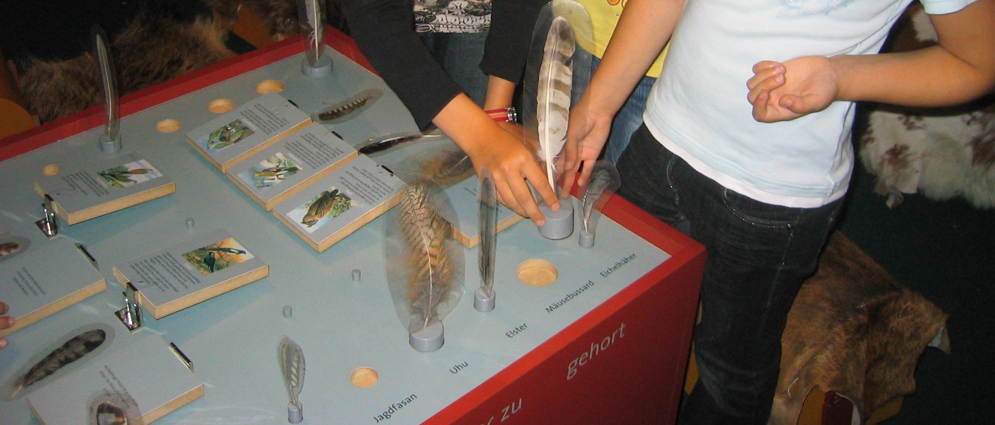 Das Foto zeigt Arme, Hände und Oberkörper von Kinder, die das &quot;Federnspiel&quot; in der naturkundlichen Dauerausstellung versuchen.