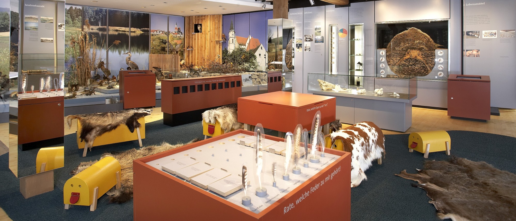 Das Foto zeigt den Blick in die naturkundliche Dauerausstellung mit Spielestationen in der Mitte. Im Hintergrund links Diorama mit Tierpräparaten, rechts das Ameisennestmodell.